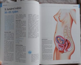 Nová velká kniha o mateřství - 4
