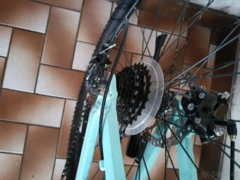 Kolo Olpran Oxfeld 27, 5 - 4