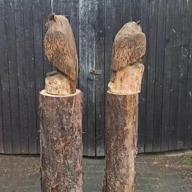 Sova motorovou pilou - 4