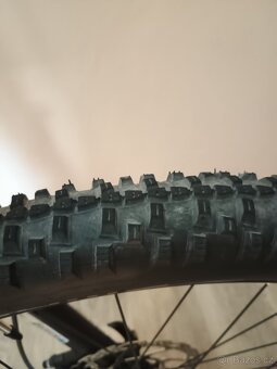Qayron Ram MKII 3 - velikost M, 29" - 4