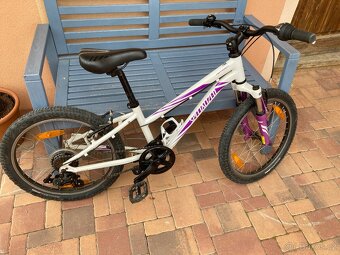 Specialized 20 - 4