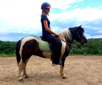 Pony kobylka - 4