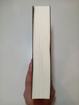 Slzotvůrce - Erin Doom - 4