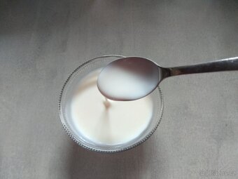 Viili - nekonečný jogurt - 4