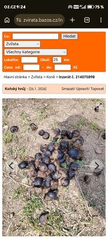 Koňský hnůj - 4