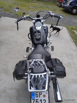 Honda Black Widow 750 DC - 4