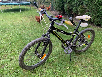 Dětské kolo Superior Paint 20” - 4