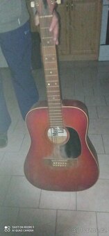 Kytara 12.kolikova - 4