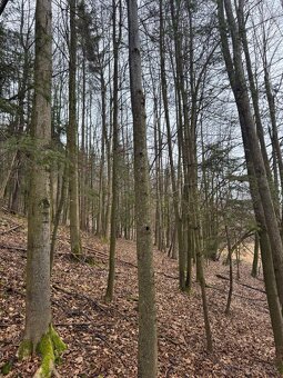 Prodej pozemků k.ú. Huslenky (3) - 4