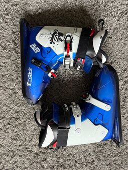 Sled dogs K9.02 rabid - 4