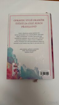 Série Někdo nový, Někdo jiný, Někdo zůstává - 4