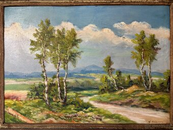 Letní krajina v podhůří - 4