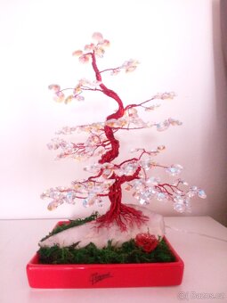 Bonsai - 4