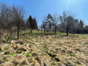Pozemek pro RD, Cheb, Jindřichov u Tršnic - 4