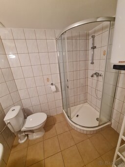 Pronajem bytu -garsonky Pisečna u Jeseniku - 4