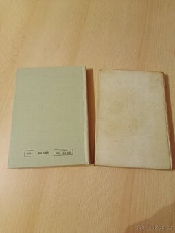 Česká literatura první poloviny XX století - 4