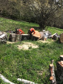 Kácení stromů, sekání trávy - 4