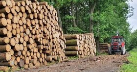 Těžba a přibližování dřeva, úklid klestu - 4