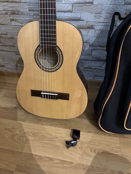 Kytara BLOND Espina 1/2 - 4