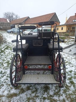 Maratoňák - jednospřeží - 4