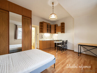 Pronájem bytu 1+kk, Na Rokytce, Libeň, 15 500 Kč/měs, 29 m2 - 4