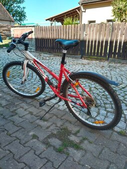 Dívčí horské kolo - 4