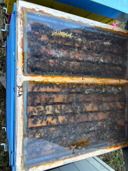 Vyzimovana včelstva - 4