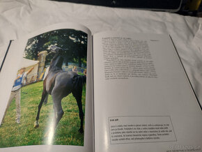 Odborná literatura o koních, jezdectví - Trénink koně - 4