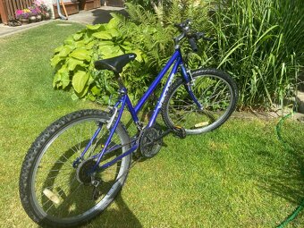 Prodám dámské kolo Vector 24” s přehazovačkou Shimano - 4