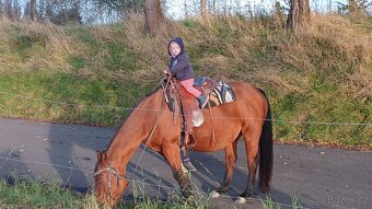 Prodám,nabízím QH kobylku s P P - 4