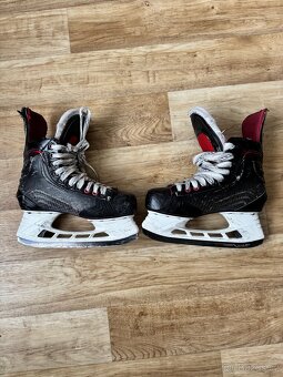 Bauer brusle x700 - 4