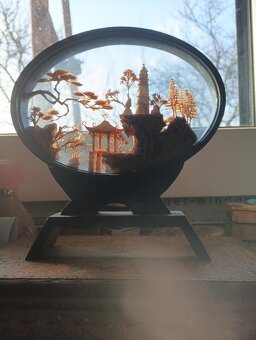 Japonská miniatura velka - 4