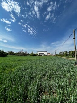 Prodej pozemku o rozloze 380m2 v Hruškách u Břeclavi. - 4