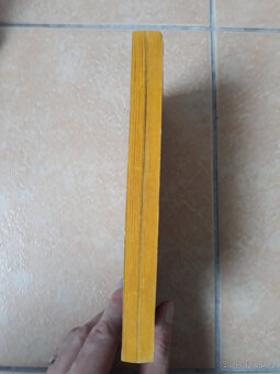 Kniha od Ericha von Danikena v angličtině - 4