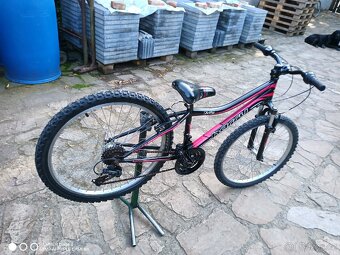 Prodám dětské horské kolo 24" - 4