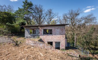 Prvorepubliková vila s  pozemkem 5 181 m² v Želešicích - 4