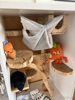 Skříňoklec klec činčila - 4