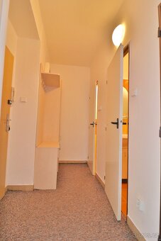 Prodej bytu 1+1, 36 m², ul. El. Krásnohorské, Havířov - 4