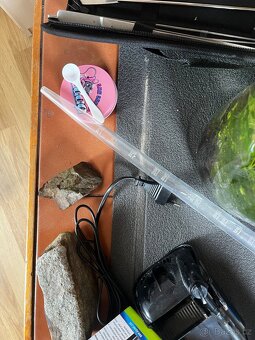 Prodám ryby + vybavení - 4