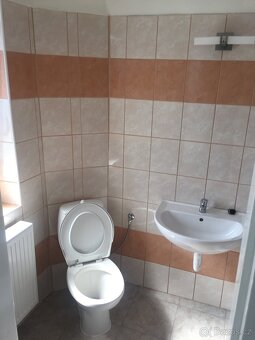 Pronájem 2+1 v Litvínově - 4