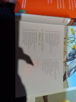 Korela cockatiel - 4