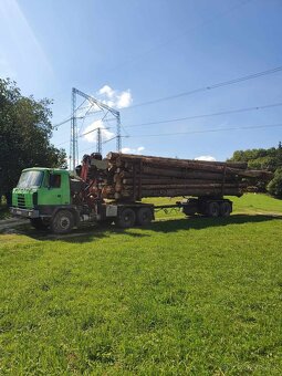 Lesovůz Tatra 815 EURO 2 epsilon - 4