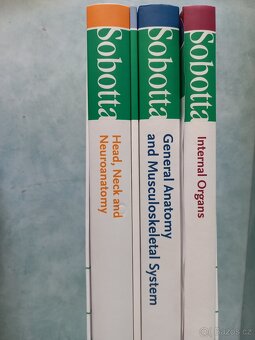 Sobottův anatomický atlas (angličtina a latina) - 4