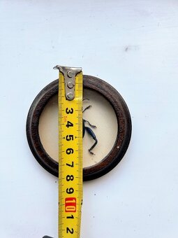 Entomologický preparát – exotický brouk Sagra, Jáva - 4