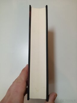 Návrat čarodějnice - Paula Brackston - 4