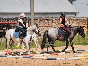 Pony pre deti - 4