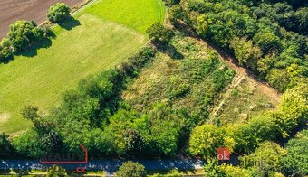 Prodej, pozemky/ostatní, 7058 m2, Kanina, Mělník [ID 76332] - 4