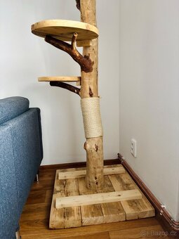 Kočičí strom - 4
