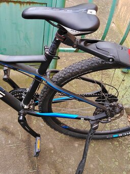 Bulls Sharptail 1 - 4