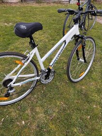 Dámské kolo Author - 4